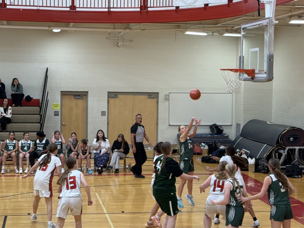 Girl shooting the basketball. 