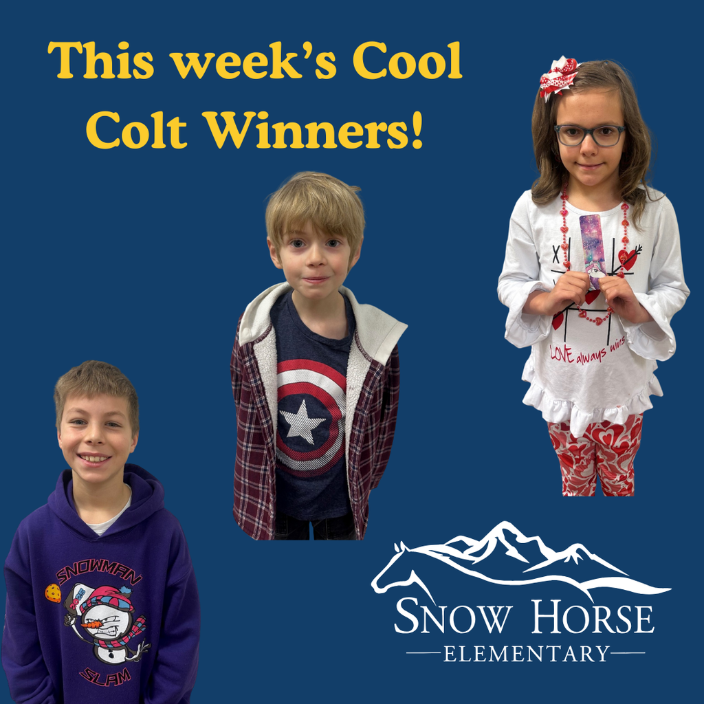 Our Cool Colt Winners