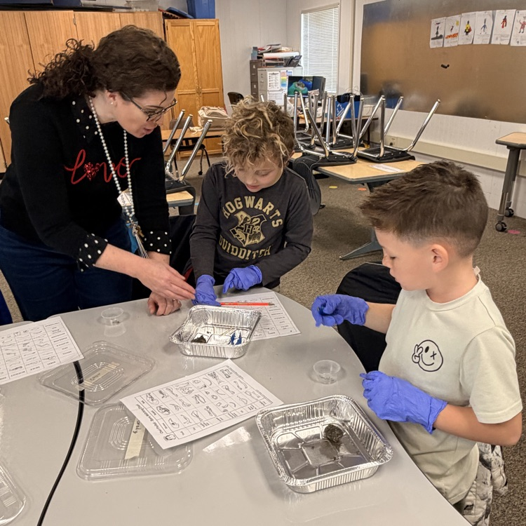 Student dissecting owl pellets! 