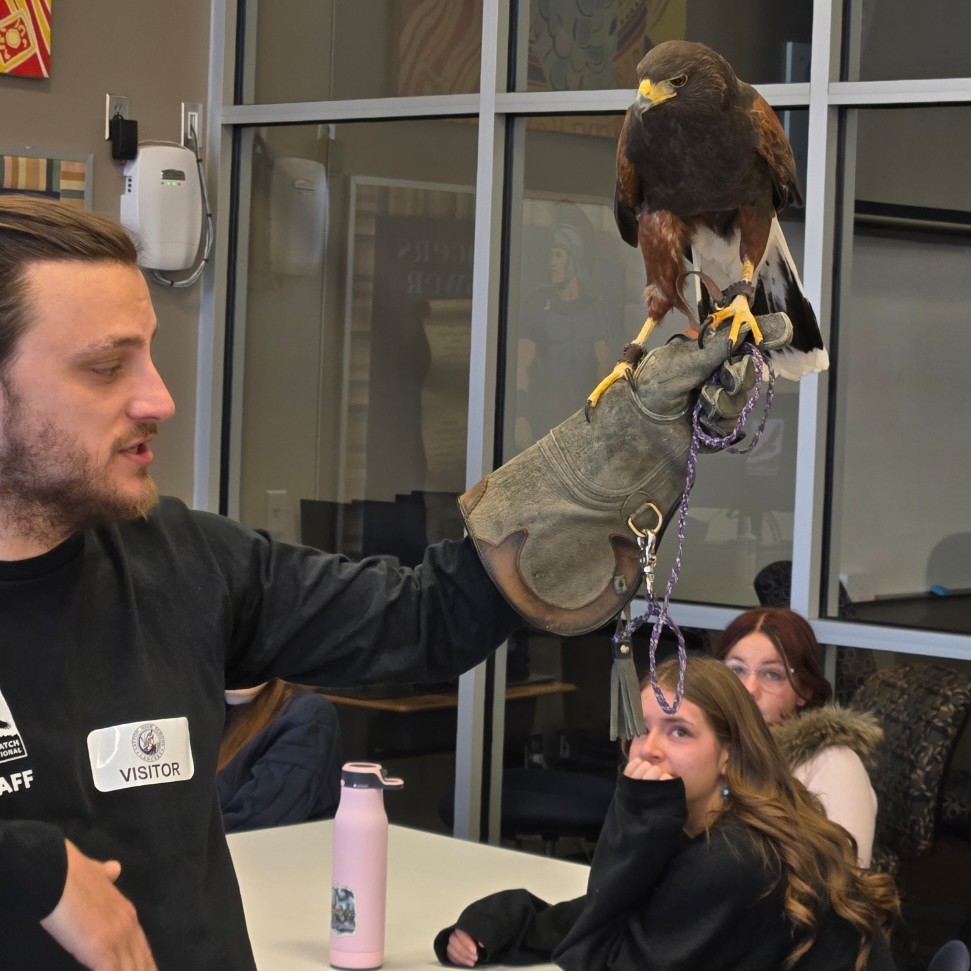 A presenter from hawk watch teaching the class about harris hawks
