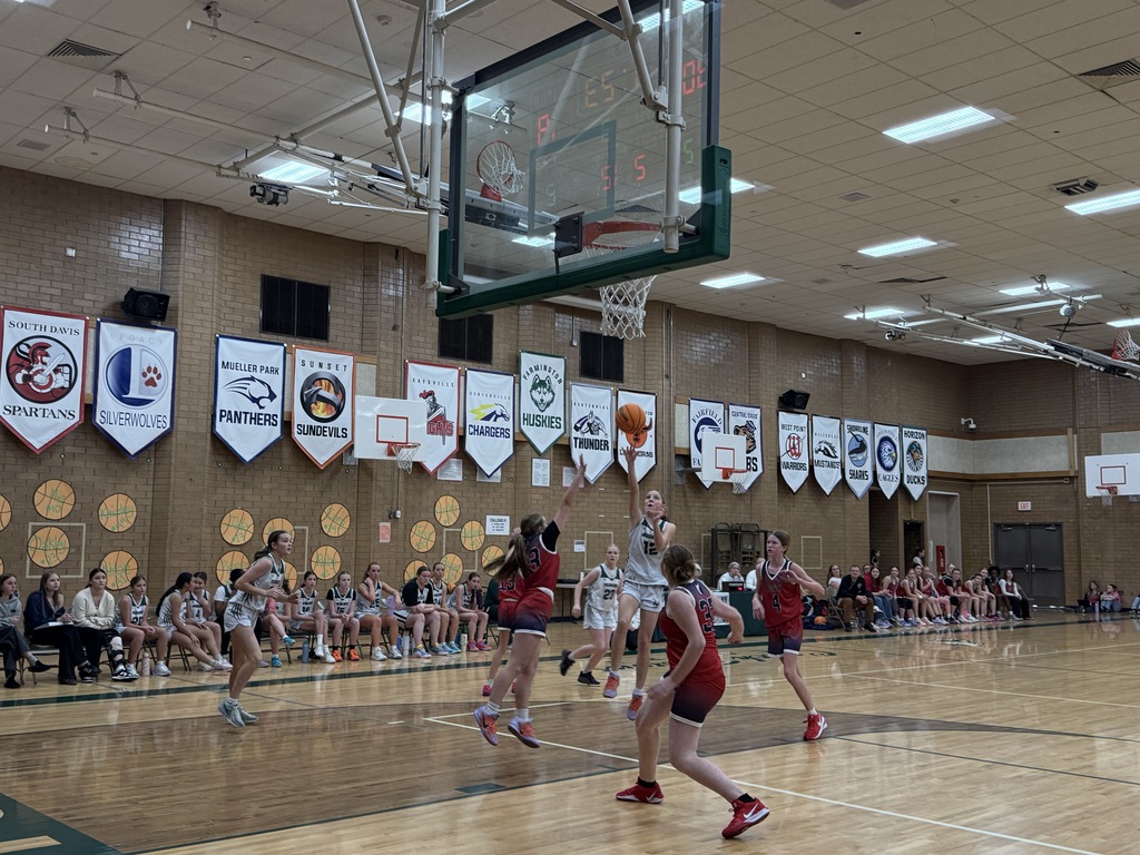 Another athlete shooting the ball.