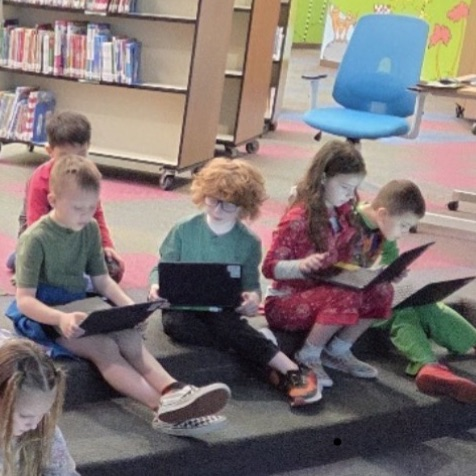 students learning about the Dewey decimal system