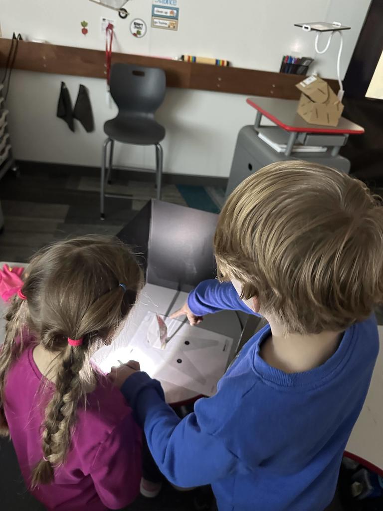 Students shining a light on an object.