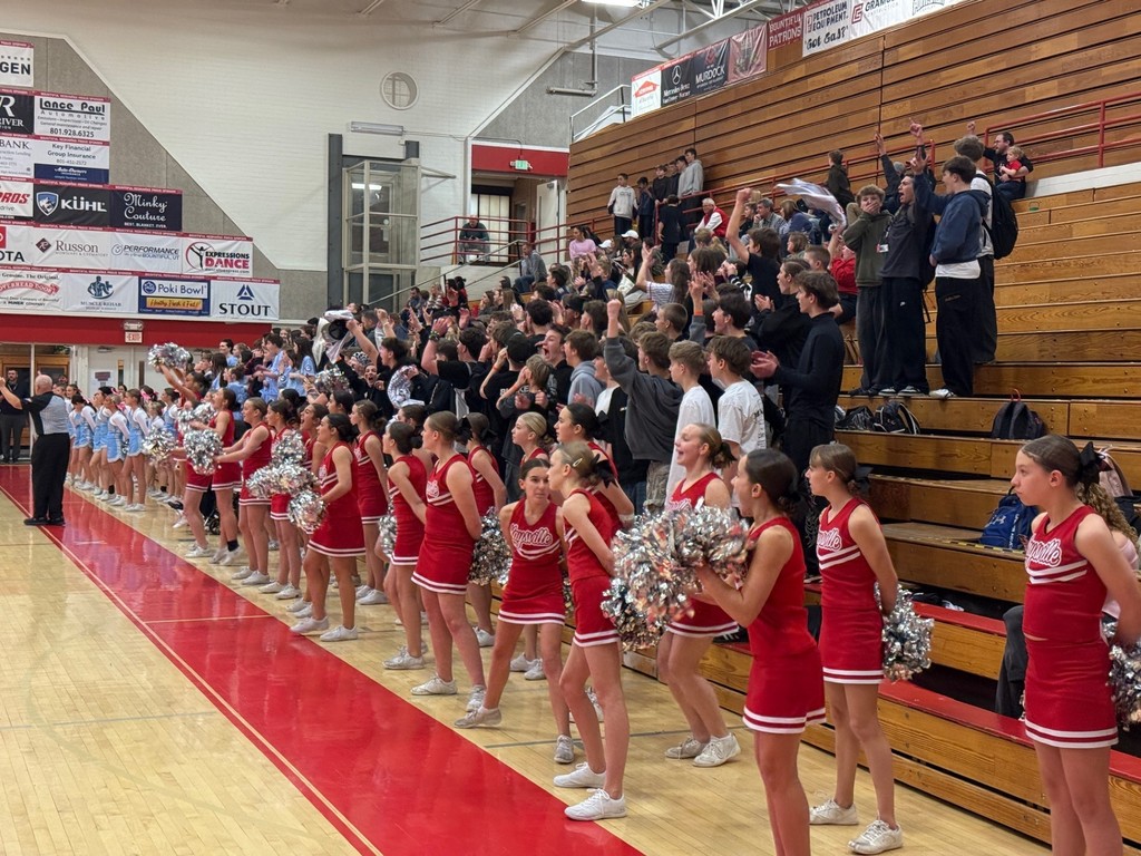 image of crowd cheering with cheerleaders