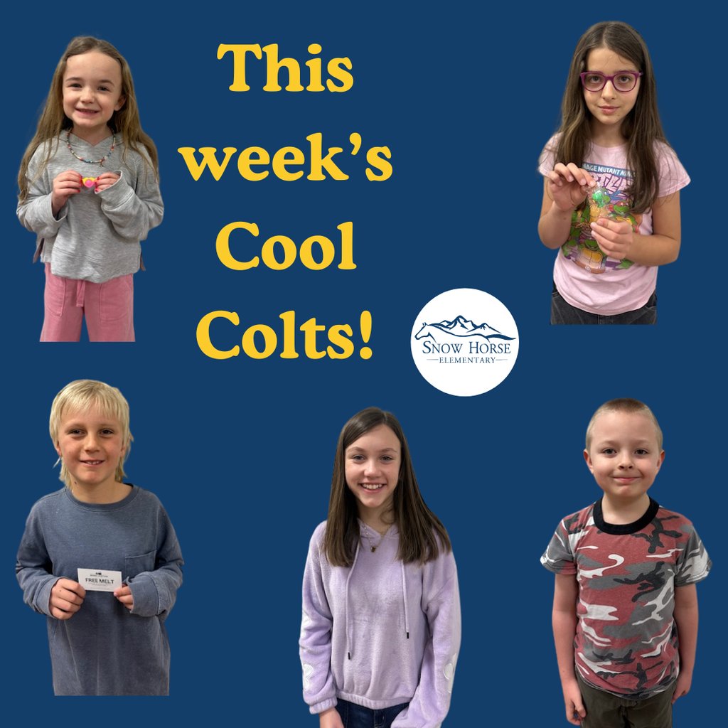 Picture of this week Cool Colt winners