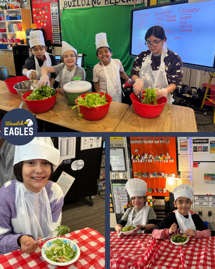 3 pictures of students harvesting, preparing, and eating salad.