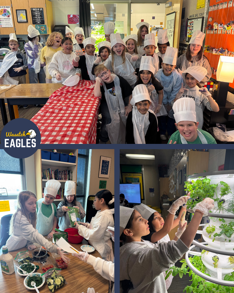 3 pictures of students harvesting and preparing salad.