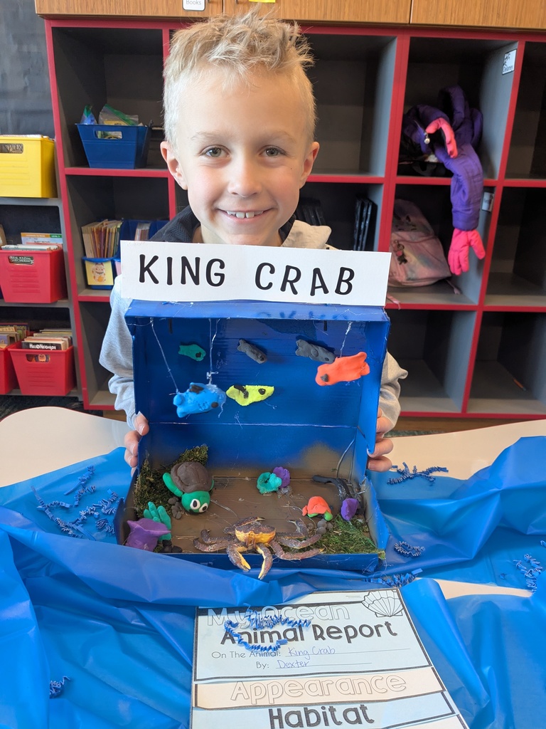 2nd Grader posing next to animal diorama. 