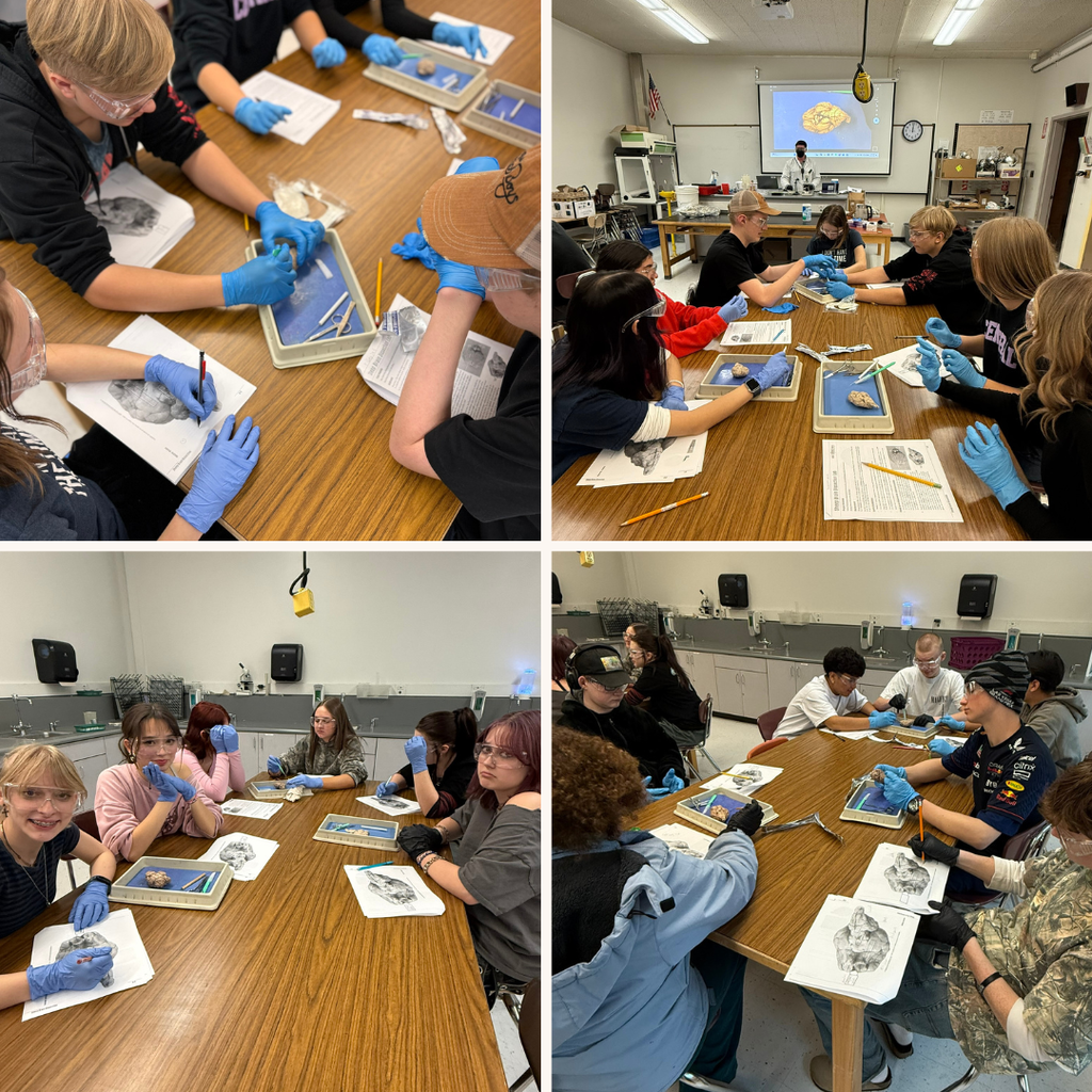 Students in Psychology Class with Sheep Brains
