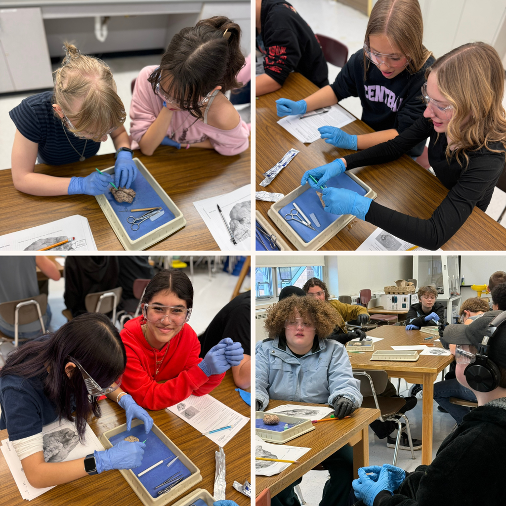 Students in Psychology Class with Sheep Brains