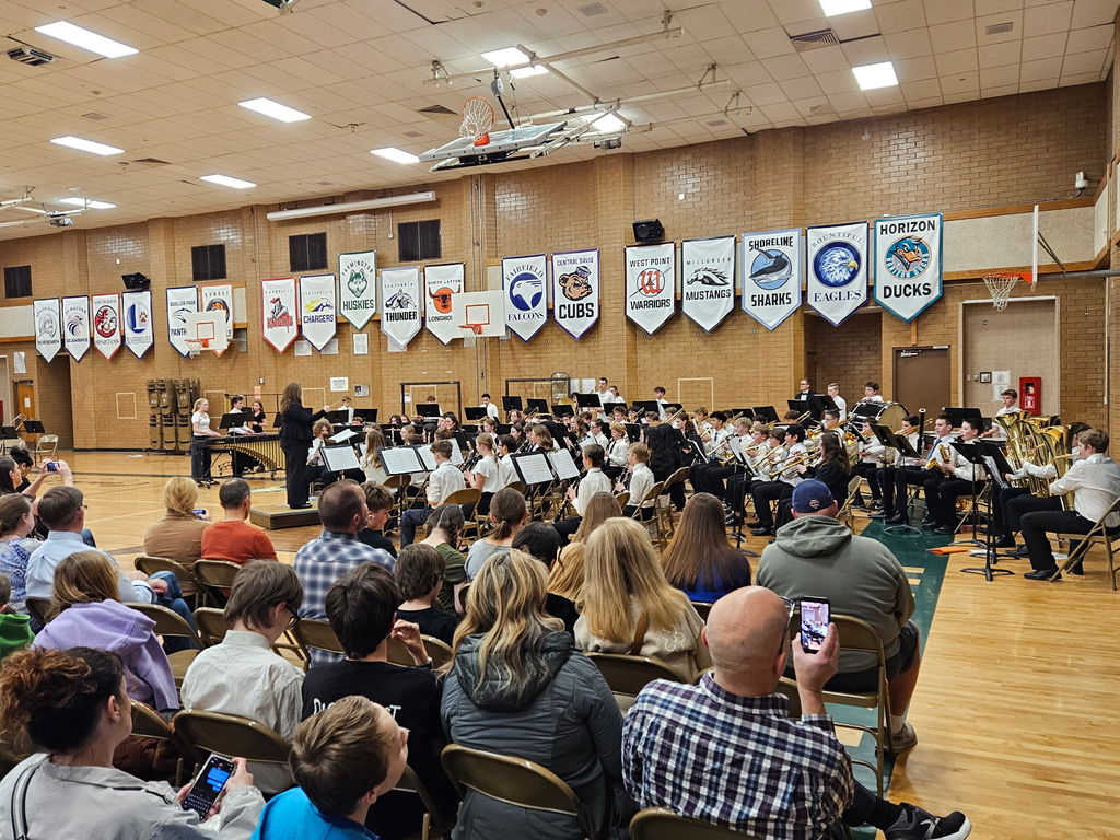 Another band playing at the concert. 