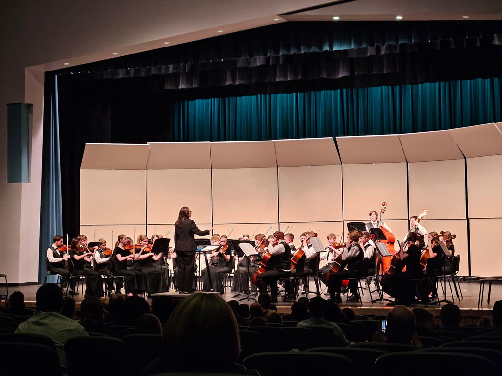 Orchestra concert - 1st picture