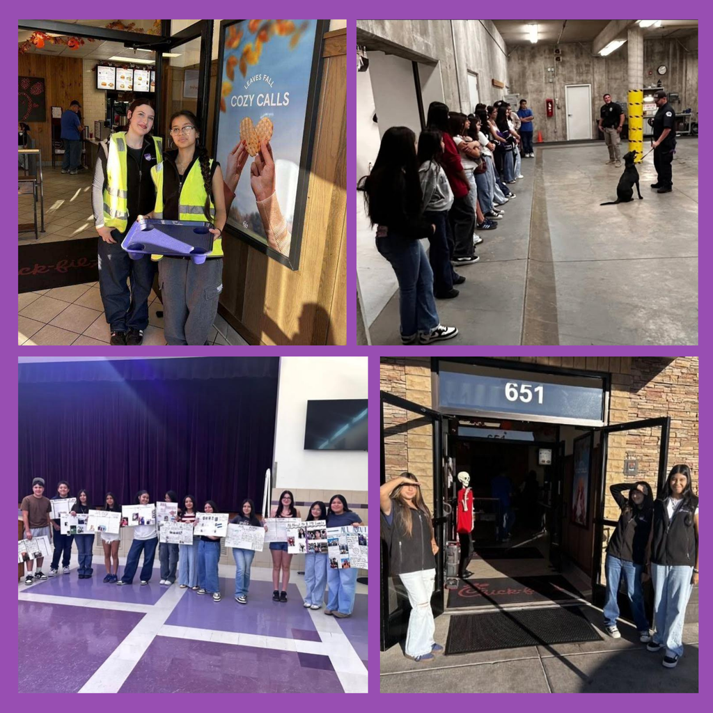 LIA Students Working Together In Different Places