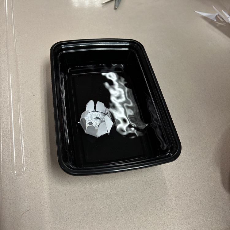 plant petals opening