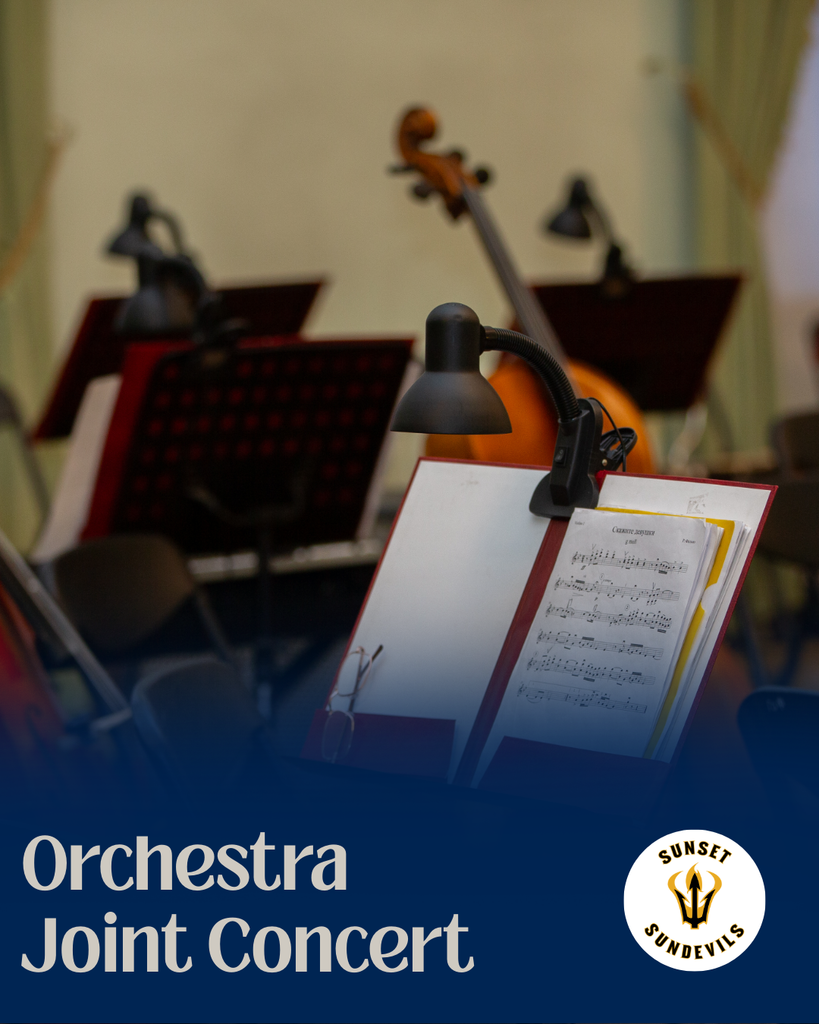 Orchestra Joint Concert