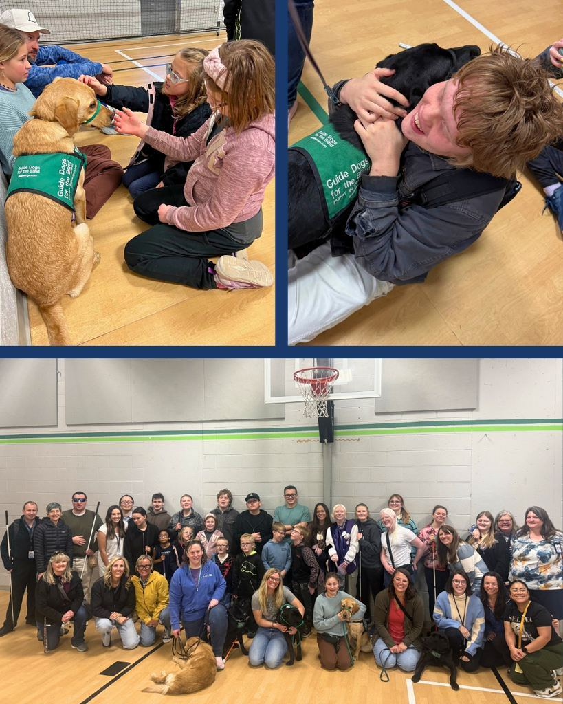 Students hugging and playing with guide dogs. 