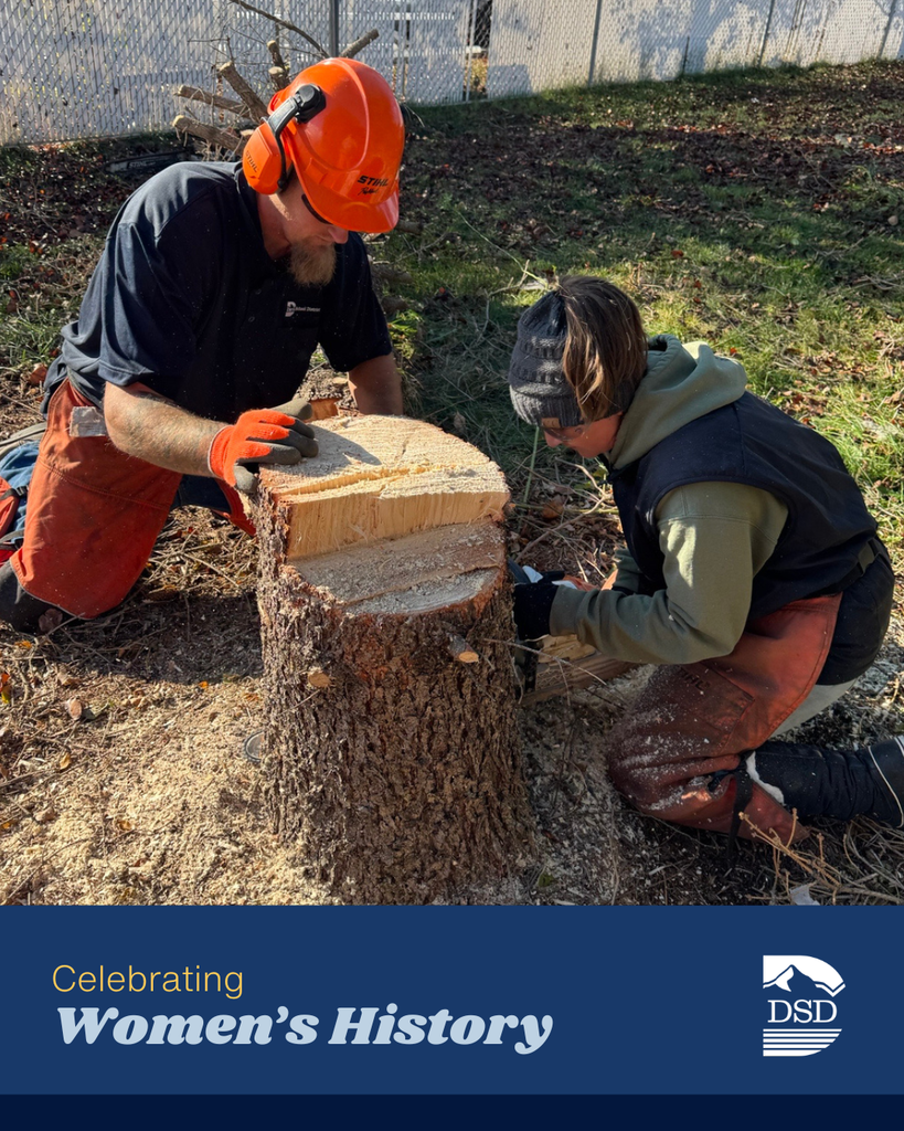 Celebrating Women's History. Davis School District Logo. Photo of someone smiling at the camera. 