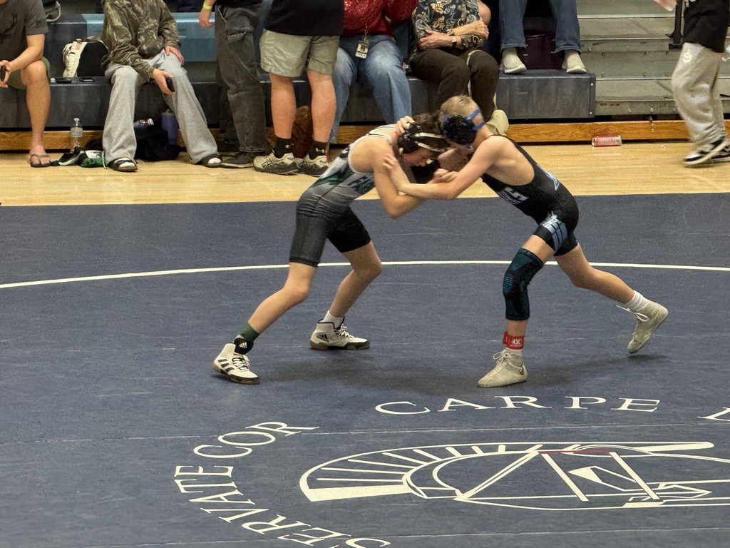 Students wrestling at the District Championship. 