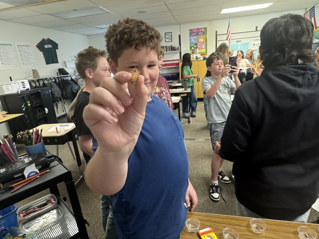 student with cricket