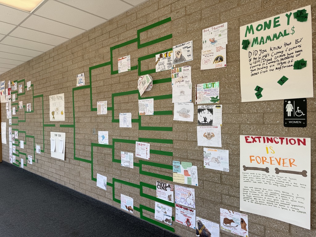 Right side of March Mammal Madness bracket. 