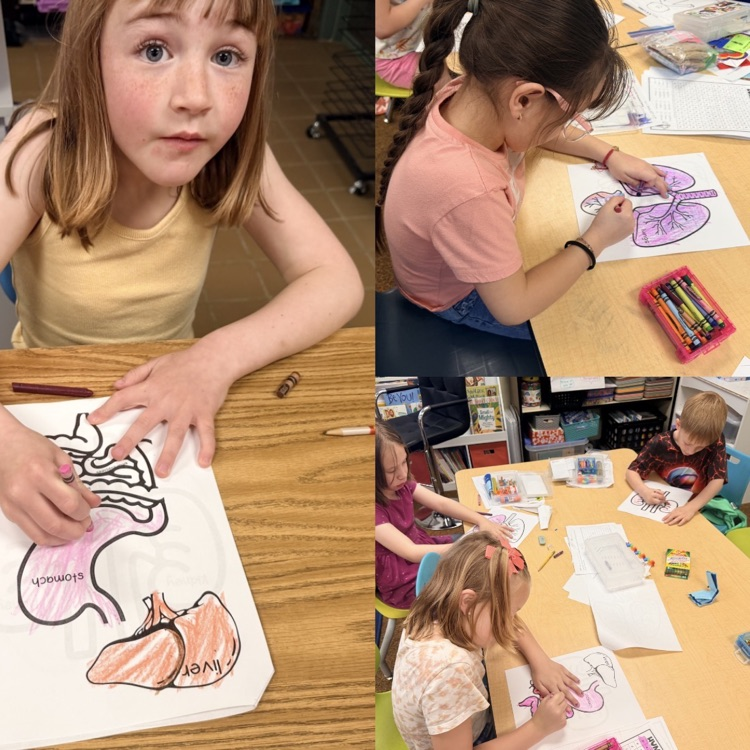 2nd graders working on a project at the end of their Human Body unit for CKLA Knowledge.