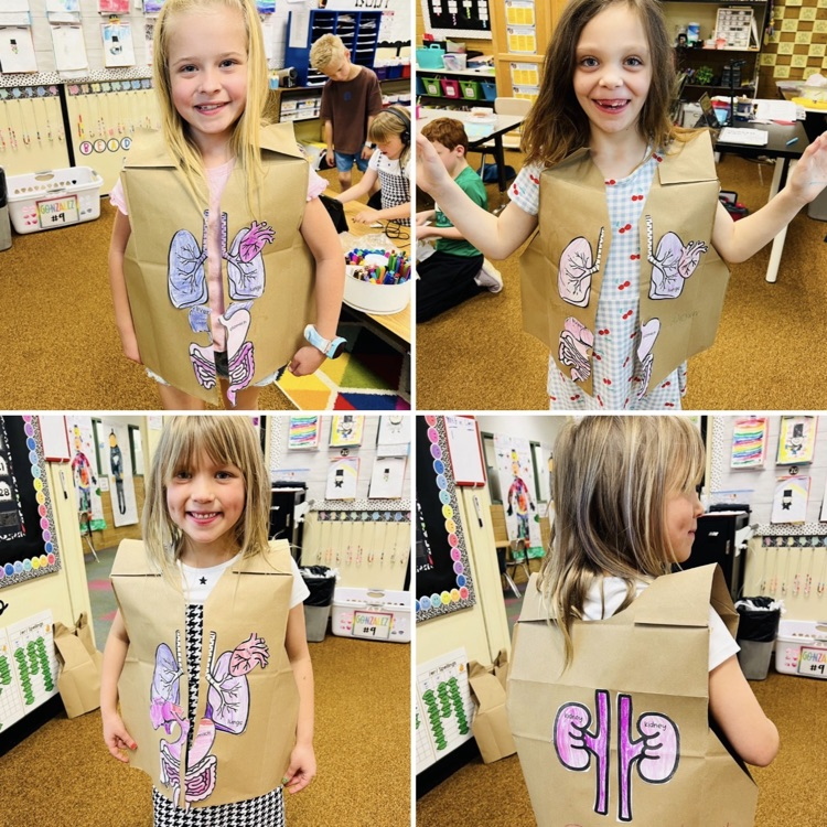 2nd graders working on a project at the end of their Human Body unit for CKLA Knowledge.