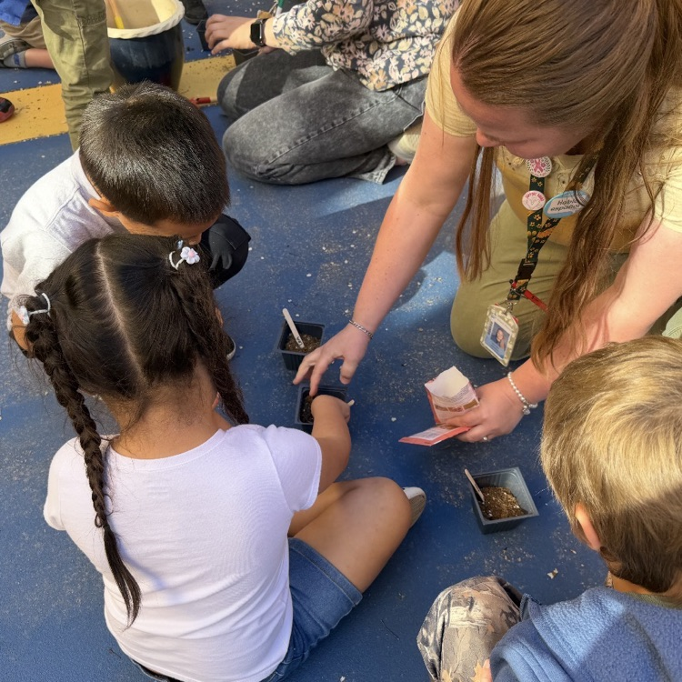 Students in Kindergarten through 2nd grade ASC, learning about planting flowers and growing a garden. 