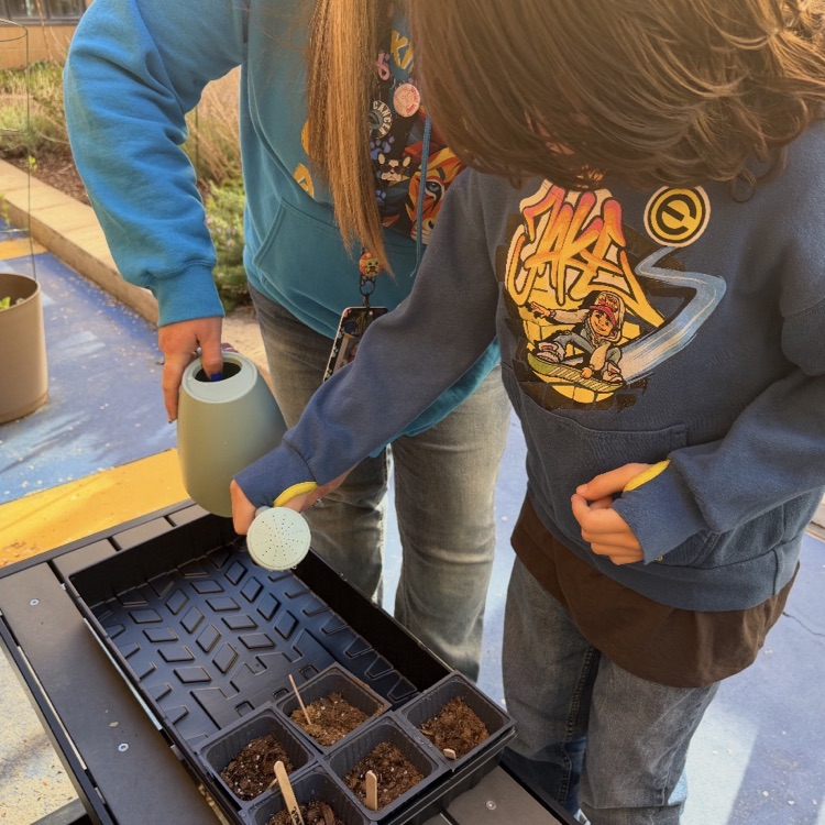 Students in Kindergarten through 2nd grade ASC, learning about planting flowers and growing a garden. 
