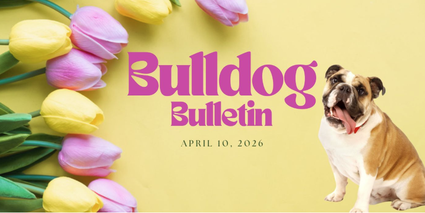 tulips with bulldog. Bulldog Bulletin April 10, 2026