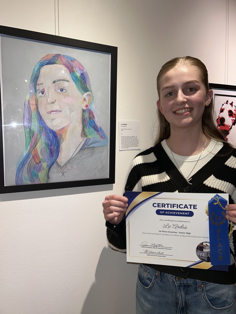 District art show-First place in drawing