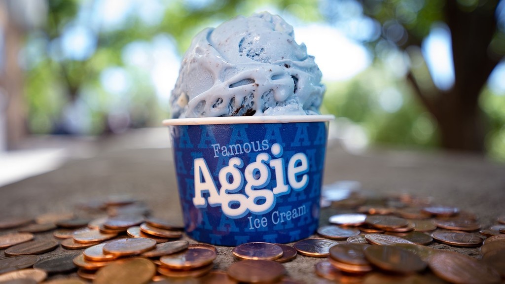 image depicting a cup of Aggie Ice Cream