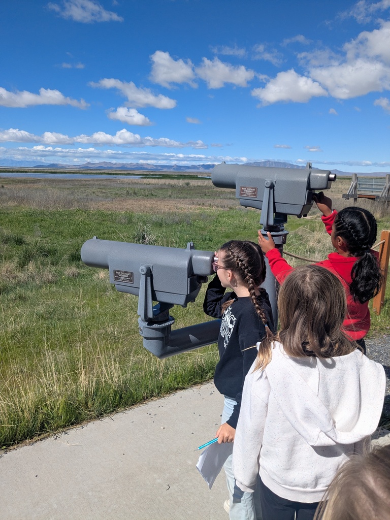 Students observing wetlands through a telescope.