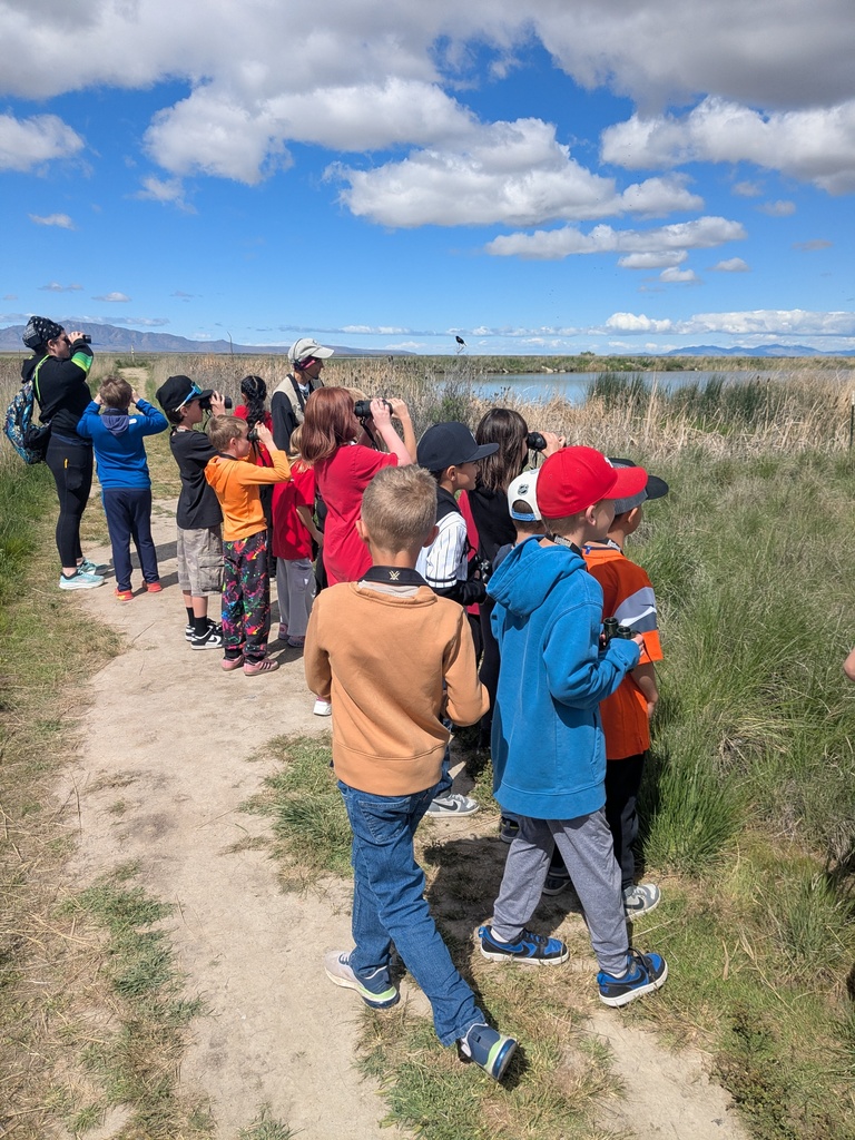 Students learning about birds  from a field trip guide.