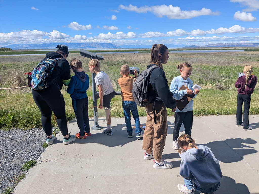 Students taking notes on wetlands. 