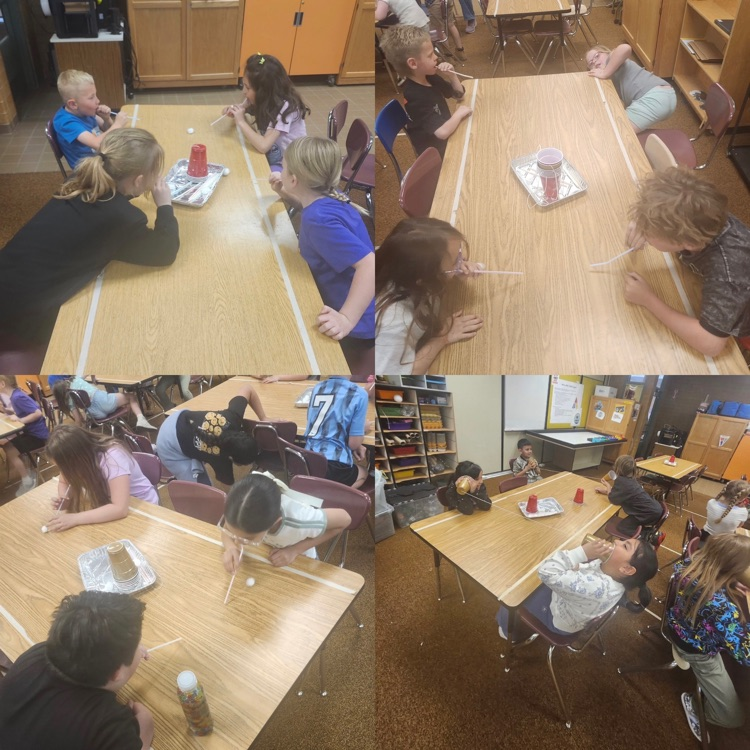 science in action during their stem class - students competing projects 