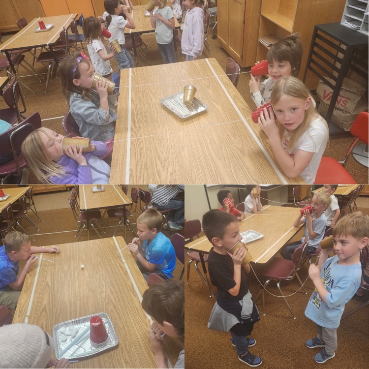 science in action during their stem class - students competing projects 