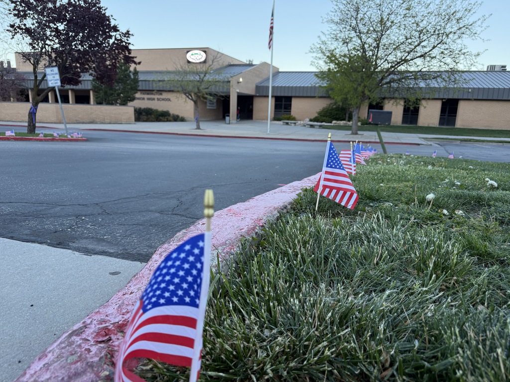 Front view of the school with flags. 