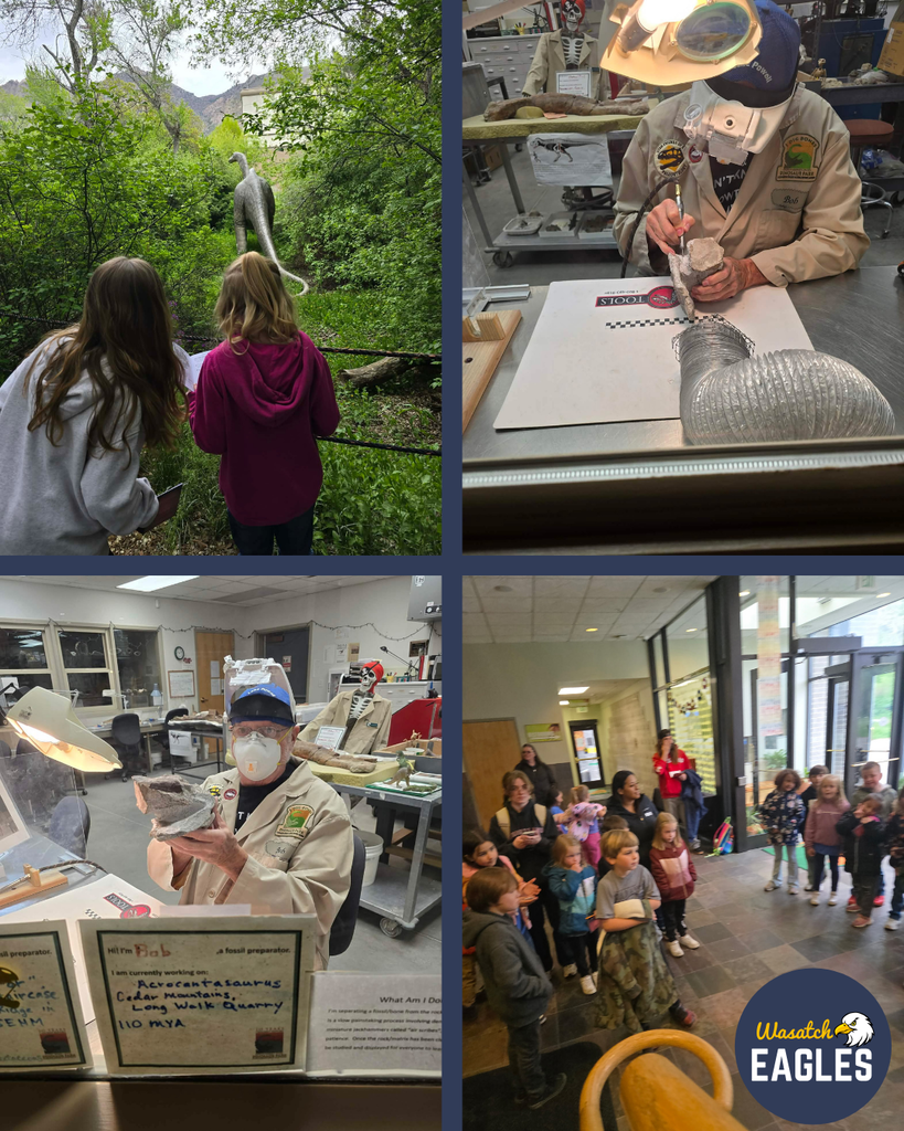 A four-photo collage from a 1st grade dinosaur park field trip. Top left: two students stand on a path surrounded by greenery, looking at a life-size dinosaur model positioned above them. Top right: an educator wearing protective gear demonstrates fossil preparation on a worktable inside a lab or workshop space with tools and equipment visible. Bottom left: the same educator holds a fossil replica near labeled display boxes inside the lab. Bottom right: a group of students stands indoors listening during a presentation in an open lobby or exhibit area. A “Wasatch Eagles” logo appears in the bottom right corner.