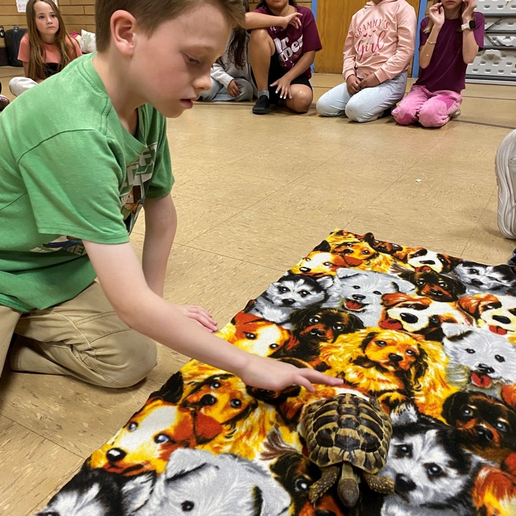 Loveland Living Planet Aquarium! 