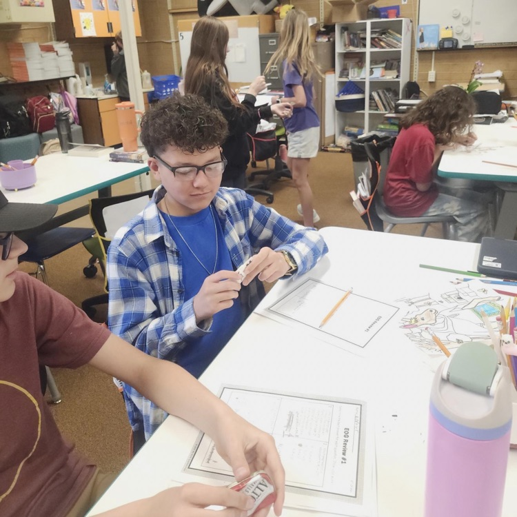 Students reviewed math skills today before showing their shine on RISE testing. Each correct problem they earned a temporary tattoo to put on their teacher. These kiddos are going to shine so bright on RISE!