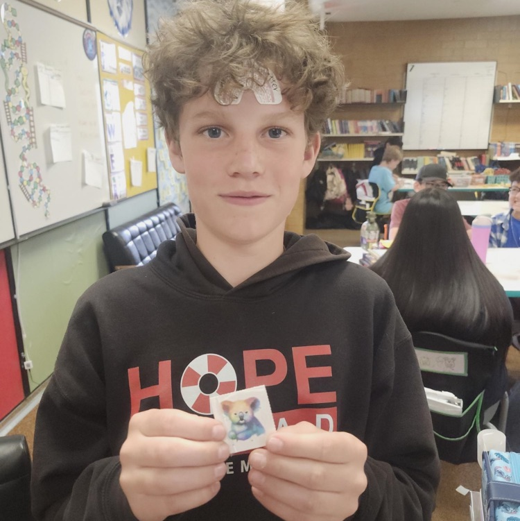 Students reviewed math skills today before showing their shine on RISE testing. Each correct problem they earned a temporary tattoo to put on their teacher. These kiddos are going to shine so bright on RISE!