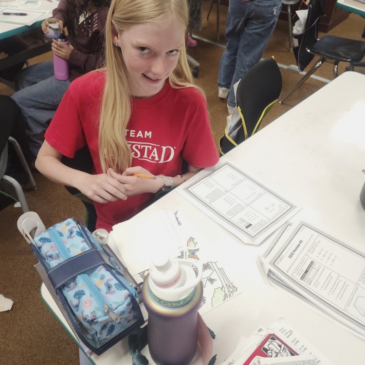 Students reviewed math skills today before showing their shine on RISE testing. Each correct problem they earned a temporary tattoo to put on their teacher. These kiddos are going to shine so bright on RISE!