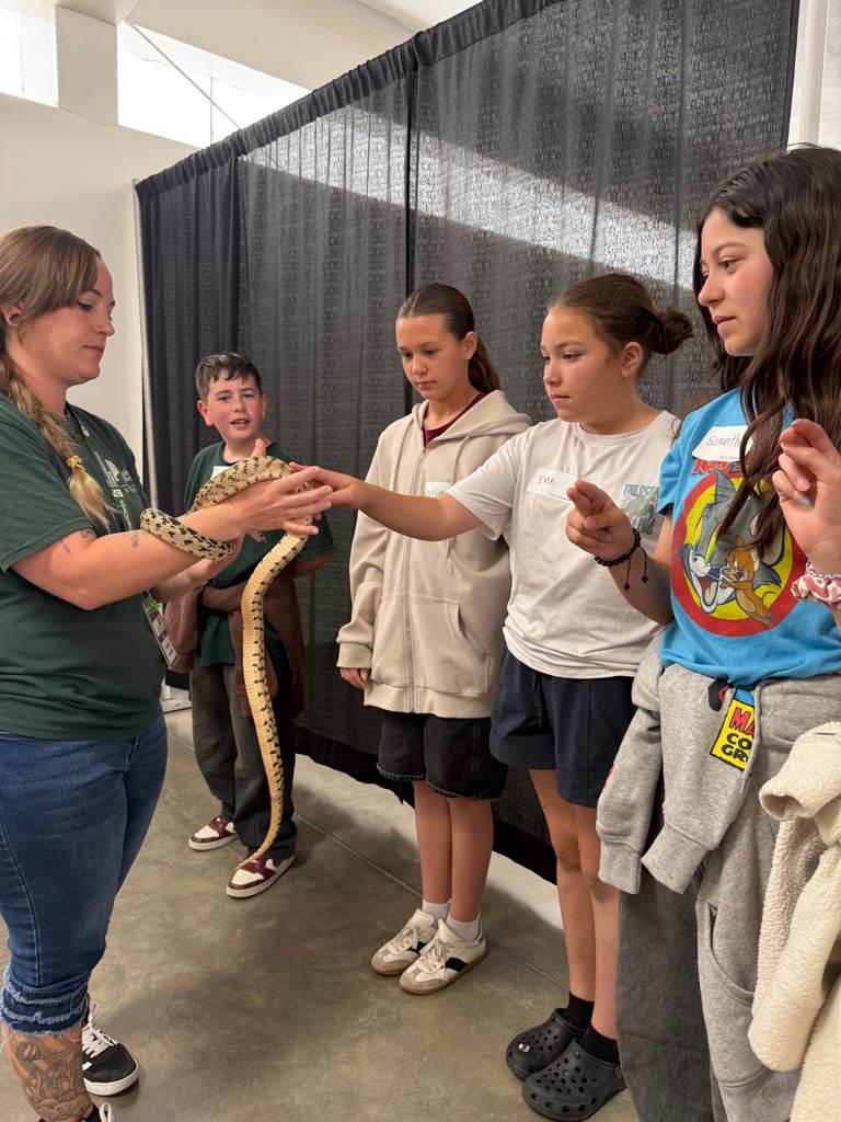 5th grade students observing a snake. 