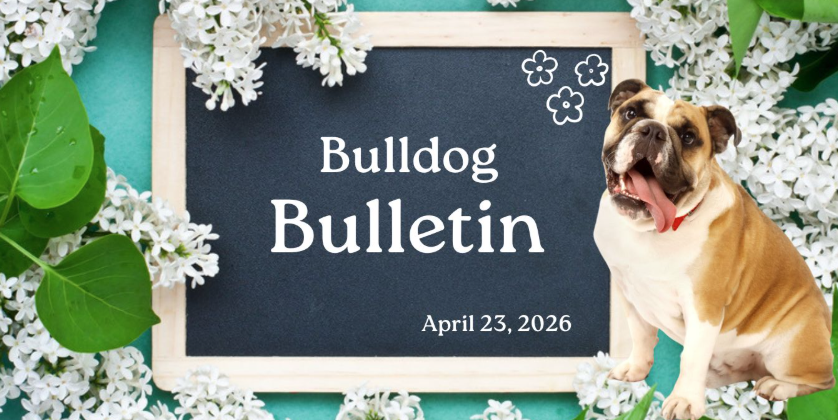 spring flowers with a bulldog. Bulldog Bulleting, April 23, 2026