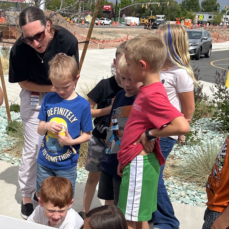 Library Book Walk