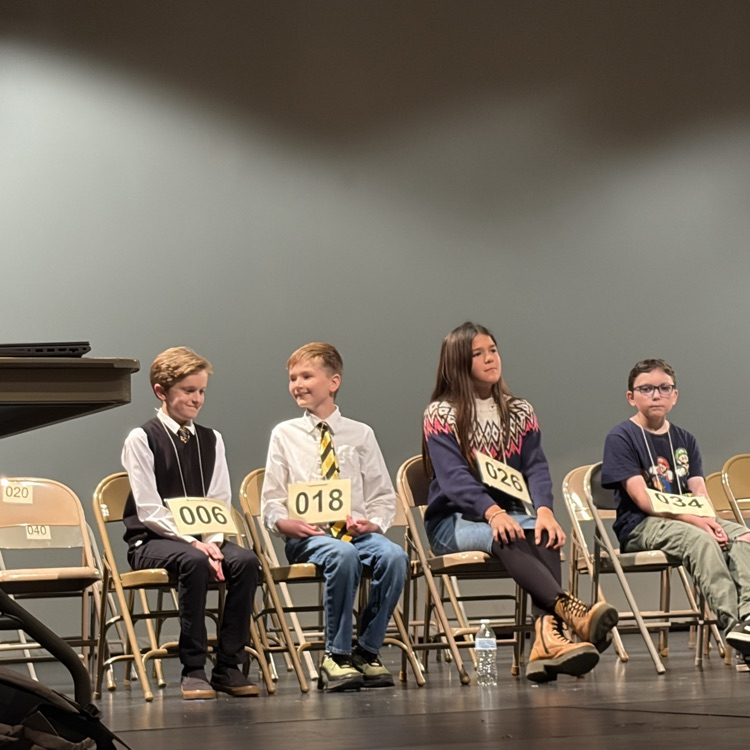 spelling bee