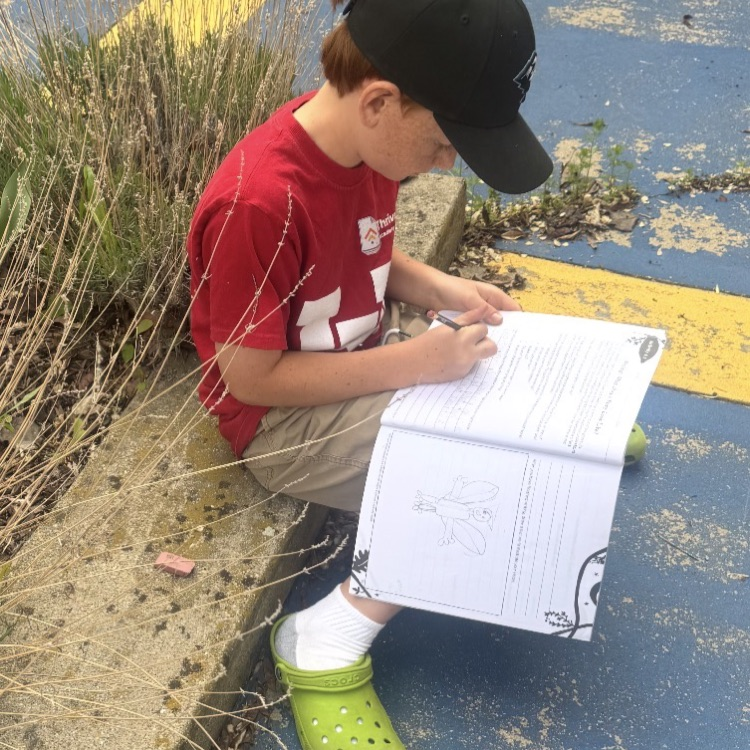 students working on their assignment outside 