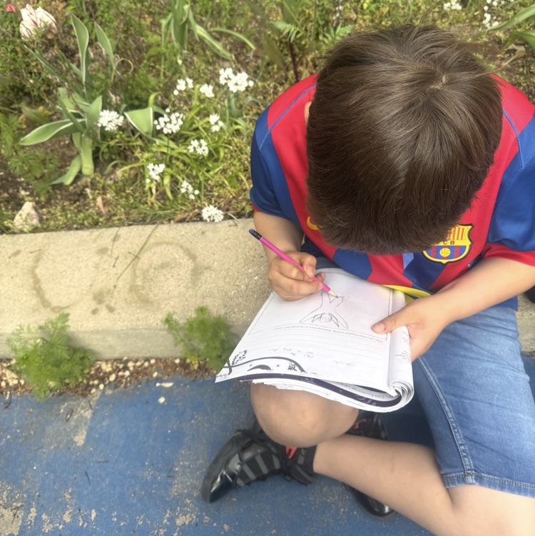 students working on their assignment outside 