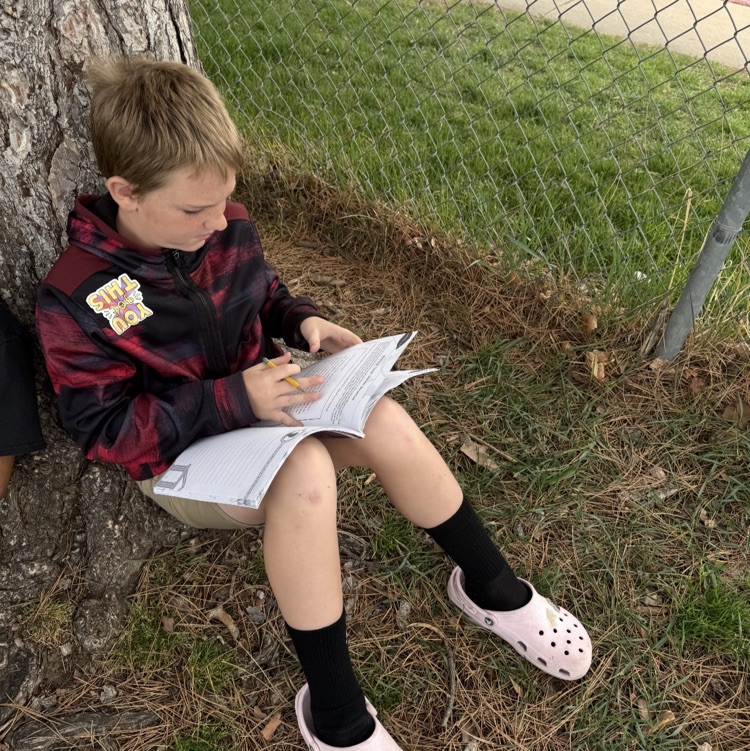 students working on their assignment outside 