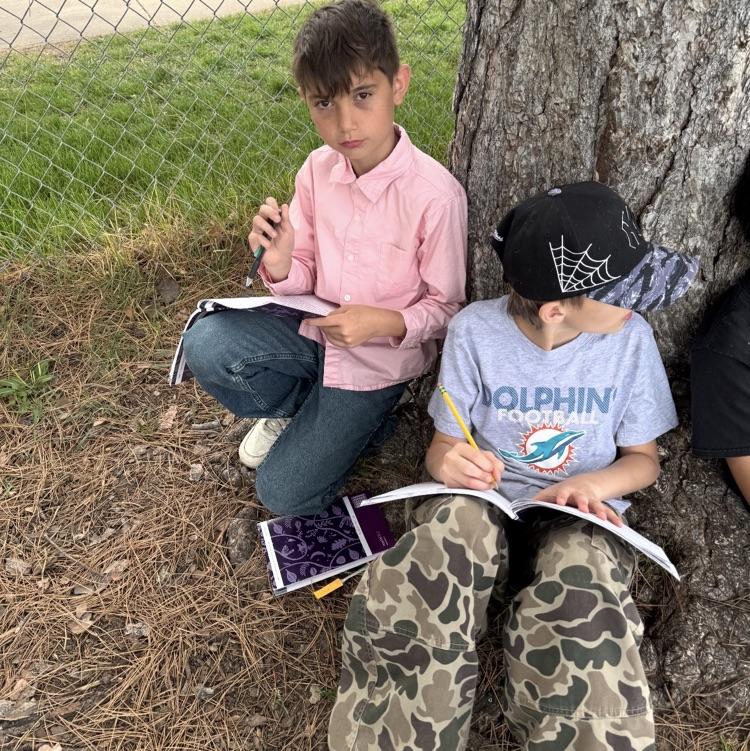 students working on their assignment outside 